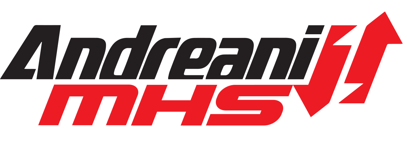 Logo Andreani MHS